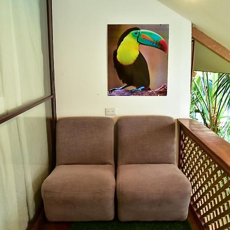 Los Amigos Hostel Flores Zewnętrze zdjęcie